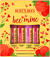 Burt's Bees Bee Mine Set